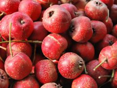 吃完火锅吃什么刮油减肥？这10种食物让你第二天不水肿-女人美